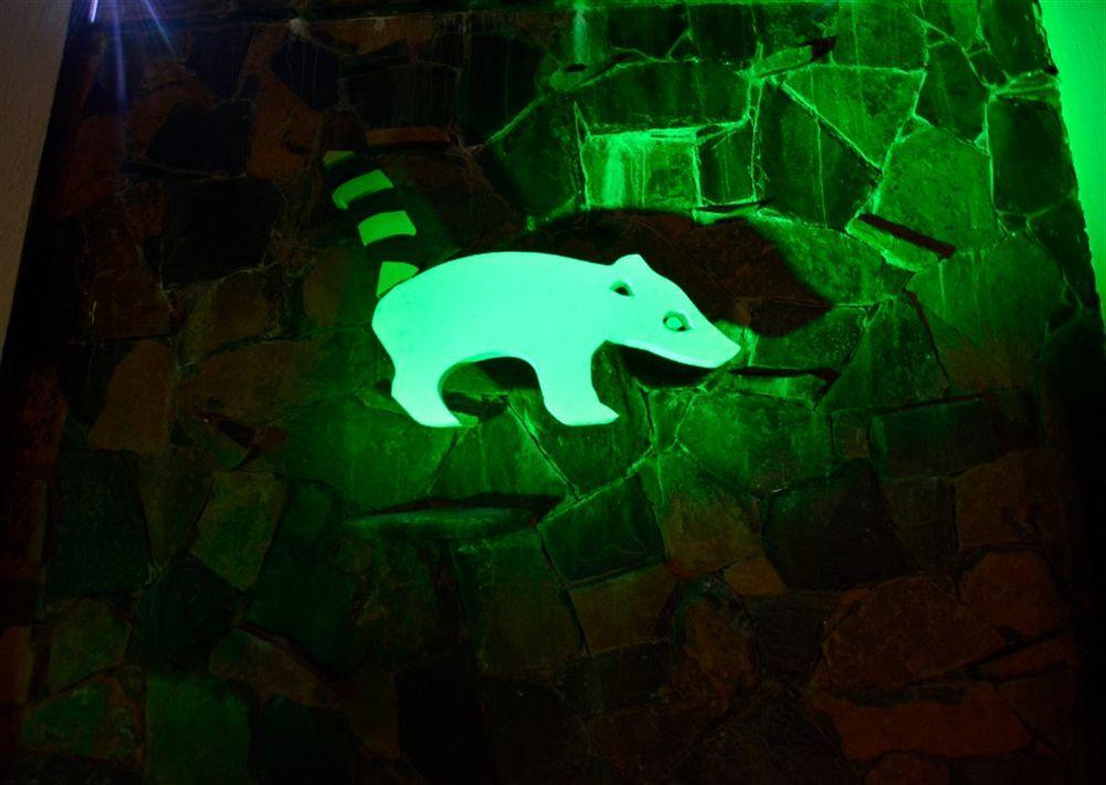 Akwati Suites Iguazu 푸에르토이과수 외부 사진